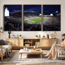 Michigan State Spartans Canvas, Framed Football Team Print -