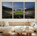 Michigan State Spartans Football Team Print - East Lansing
