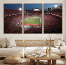 Ohio State University Buckeyes Football Team Print -