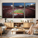 Ohio State University Buckeyes Football Team Print -