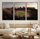 Ohio State University Buckeyes Football Team Print -