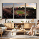Ohio State University Buckeyes Football Team Print -
