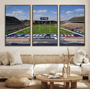 Rice University Owls Football Team Print - Houston Rice by MyGreatCanvas | Canvas Wall Art Prints | Photo Prints & Wall Decor