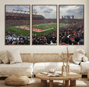Rutgers Scarlet Knights Football Team Print - SHI Stadium,