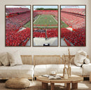 Rutgers Scarlet Knights Football Team Print - Piscataway SHI by MyGreatCanvas | Canvas Wall Art Prints | Photo Prints & Wall Decor