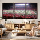 Rutgers University Scarlet Knights Football Team Print -