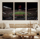 Framed Texas Tech Red Raiders Stadium Canvas, Texas Tech Red