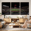 Framed Texas Tech Red Raiders Stadium Canvas, Texas Tech Red