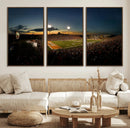 Ball State Cardinals Football Team Print - Muncie Scheumann