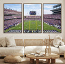 TCU Horned Frogs Football Team Print - Fort Worth Amon G.