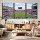 TCU Horned Frogs Football Team Print - Fort Worth Amon G.