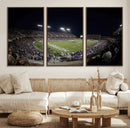 TCU Horned Frogs Football Team Print - Fort Worth Amon G.