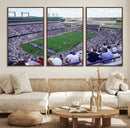 The Texas Christian University TCU Horned Frogs Football
