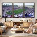 The Texas Christian University TCU Horned Frogs Football
