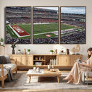 The Temple University Owls Athletics Team Print -