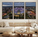 The Louisiana State University Tigers Football Team Print -
