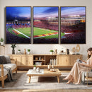 The University of Southern California USC Trojans Football