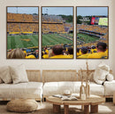 Puskar Stadium Canvas Print Wall Art - Morgantown Print -