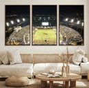 Florida A&M Rattlers Football Team Print - Tallahassee Bragg
