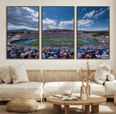 Air Force Falcons Football Team Print - Colorado Springs