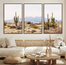 Desert Cactus Canvas Wall Art – Serene Southwestern Arizona by MyGreatCanvas | Canvas Wall Art Prints | Photo Prints & Wall Decor