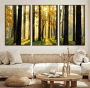 Sunlit Forest Wall Art Canvas Print – Large Framed Woodland