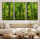 Lush Green Forest Canvas Print | 3-Panel Forest Wall Art | by MyGreatCanvas | Canvas Wall Art Prints | Photo Prints & Wall Decor