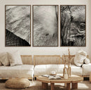 Elephant Wall Art Canvas Print