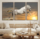 Large Wall Art Canvas Print – White Jumping Horse Sunset