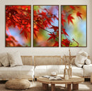 Red Leaves Autumn Forest Wall Art Canvas, Red Leaves Autumn by MyGreatCanvas | Canvas Wall Art Prints | Photo Prints & Wall Decor