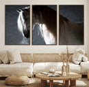 Large Wall Art Cream Colored Horse on Grey Background Canvas