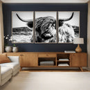 Black and White Scottish Cow Canvas Wall Art Highland Cattle
