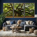 Angel Oak Tree Wall Art Canvas Print | Forest Tree Nature