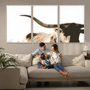 Texas Longhorn Wall Art Canvas Print | 3-Panel Large