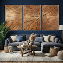 Tree Ring Canvas Art, Rustic Wood Grain Wall Art, Tree Slice