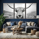 Scottish Cow Wall Art Canvas Print