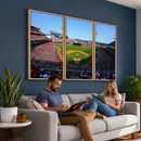 Cincinnati Reds Baseball Canvas Print - American Ball