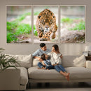 Leopard on the Prowl - Stunning Large Framed Leopard Wall