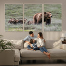 Wildlife Photography of 399 Grizzly Bear Cubs | Queen of the