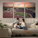 Indiana Memorial Stadium Wall Art Canvas Print, Framed