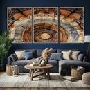 Tree Rings Wall Art Canvas Print – Rustic Wood Texture