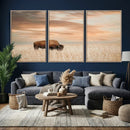 MyCanvas -