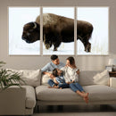 Bison Wall Art Canvas Print – Framed Western Wildlife