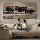 Bison Wall Art Canvas Print – Framed Western Wildlife Modern by MyGreatCanvas | Canvas Wall Art Prints | Photo Prints & Wall Decor
