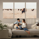 Bison Herd Wall Art Canvas Print – Framed Western Prairie