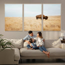 Buffalo Wall Art Canvas Print – Framed Western Wildlife by MyGreatCanvas | Canvas Wall Art Prints | Photo Prints & Wall Decor