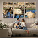 Wild Elk Wall Art Canvas Print – Framed Neutral Wildlife