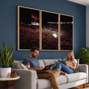 William Brice Stadium Wall Art Print – Baseball Game Room