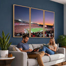 Dooley Stadium Wall Art, Sports Arena Canvas Print, Dooley