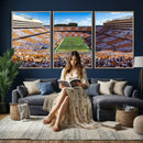 Tennessee Neyland Stadium Wall Art, Sports Arena Canvas by MyGreatCanvas | Canvas Wall Art Prints | Photo Prints & Wall Decor